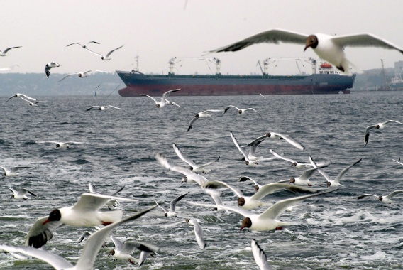 Из-за непогоды ограничена работа в Николаевском морпорту