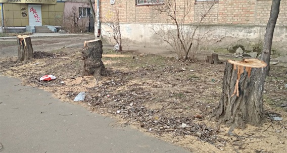 В Николаеве ради «велосипедизма» начали сносить здоровые деревья (фото)