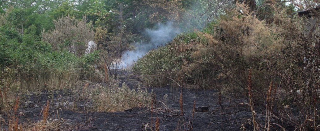 Священник УПЦ на Миколаївщині рятує село від пожеж