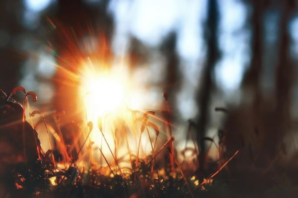 В Украину пришло бабье лето. В ближайшие дни на Николаевщине +20