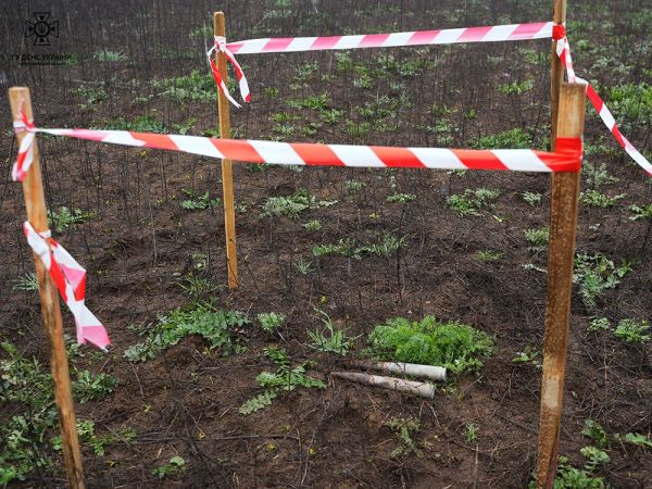 В Николаевской области саперы обследовали площадь в 3300 гектаров, где остались «дары» русского мира