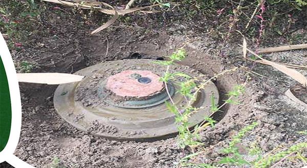 Тысячи гектаров заминированных лесов: следы «русского мира» на Николаевщине