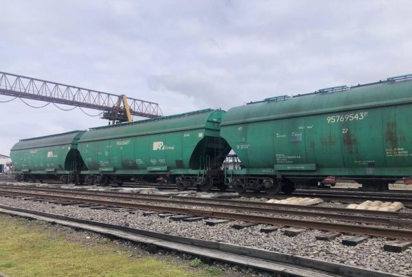 На таможне арестовано пять вагонов кукурузы, которые отправляла фирма из Николаева