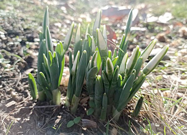 В Николаеве в выходные чуть потеплеет