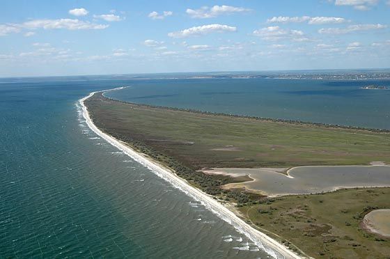 На Кинбурне пострадало 4 миллиона деревьев