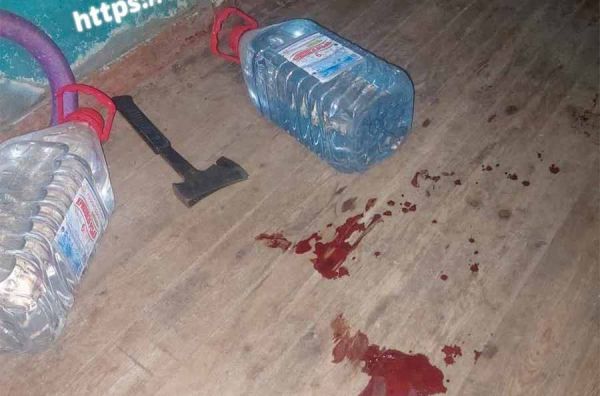 В Николаеве пьяная дама рубанула топором полицейского