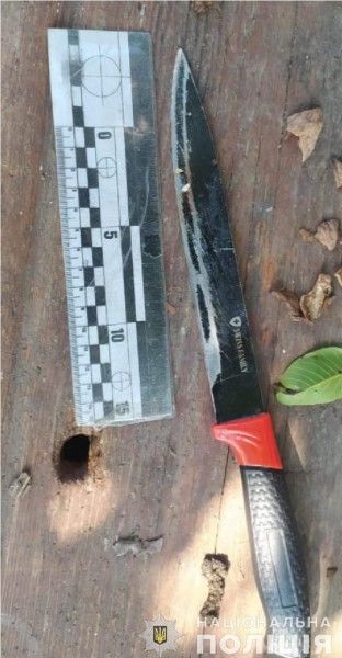 Пасынок с кулаками, отчим – с ножом – на Николаевщине кровавые семейные разборки