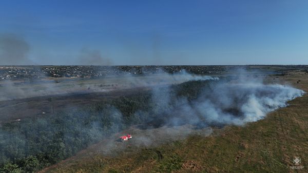 В Николаевской области пылало пшеничное поле, зафиксирован поджог