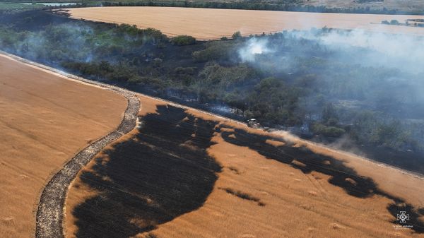 Сегодня под Николаевом вспыхнуло поле с пшеницей
