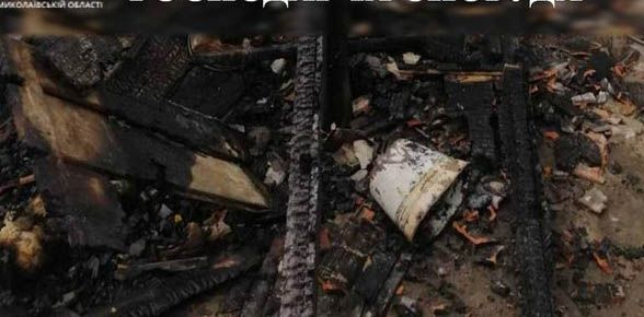 Нашли поджигателей хозяйственного здания Николаевской области