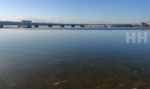 В Николаеве поднимается вода, Сенкевич назвал уровень, после которого ситуация станет критичной