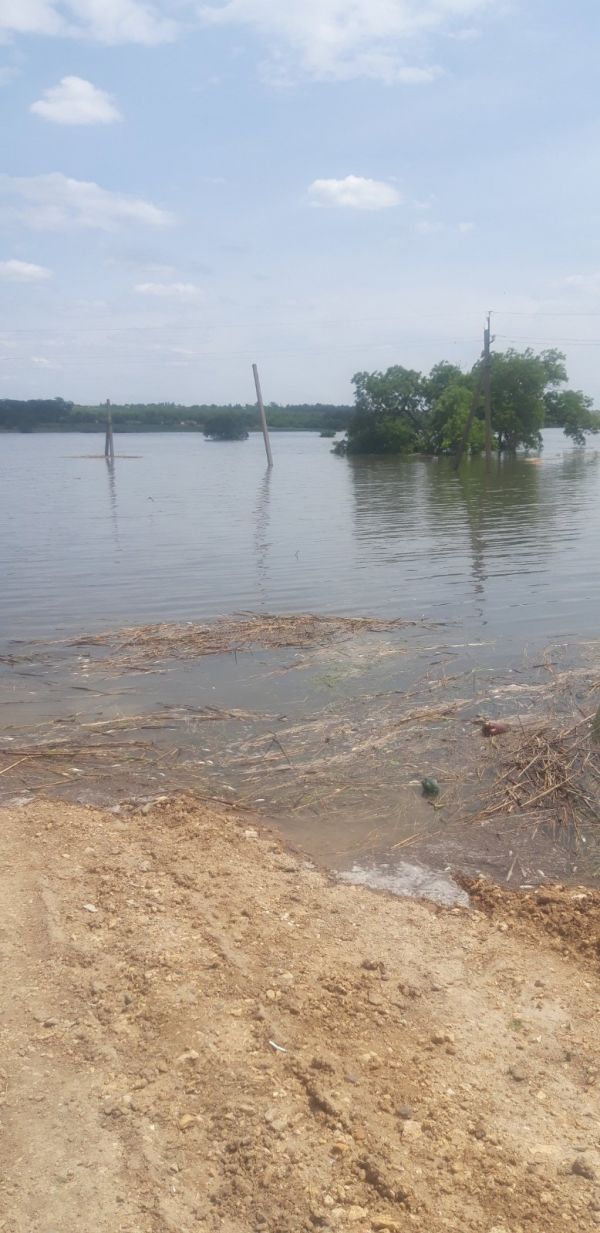 Ингулец развернул течение, зафиксирован мор рыбы, – экоинспекция Юго-Западного округа
