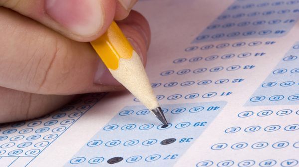 Мультипредметный тест-2023: когда будут результаты тестирования