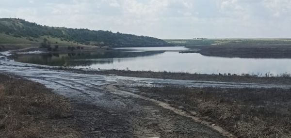 Затопление в ботаническом заказнике в Ивано-Кепино уничтожило несколько видов краснокнижных растений