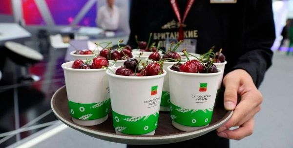 Путин накормил гостей на международном экономическом форуме в Санкт-Петербурге ворованной черешней из Мелитополя