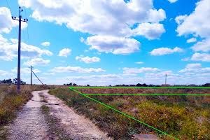 Граждане страны-агрессора в Николаевской области владеют 40 гектарами земель сельскохозяйственного назначения