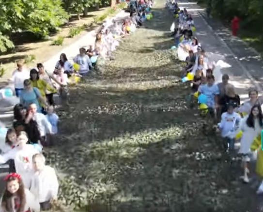 Волонтеры Николаевщины сплели маскировочную сетку в тысячу квадратных метров