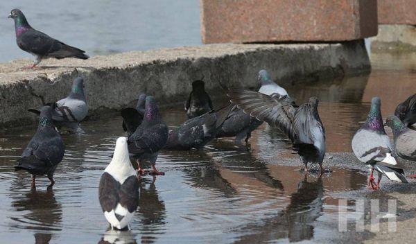 Радиационный фон и качество воздуха на Николаевщине 17 июня