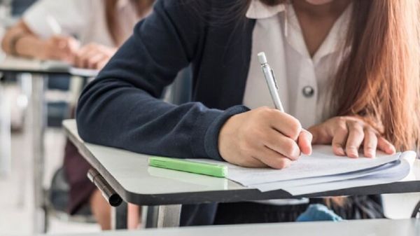 Выпускница из Снигиревки сдала мультипредметный тест по всем предметам на максимальный балл