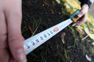 У предпринимателя из Ольшанского забрали полгектара земли на берегу Южного Буга