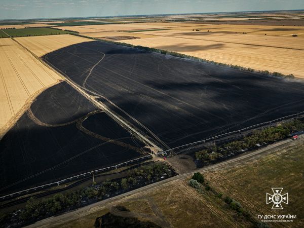 Сгорел стоящий у поля автомобиль и оросительная консоль: николаевские пожарные тушили масштабный пожар пшеницы (фото)