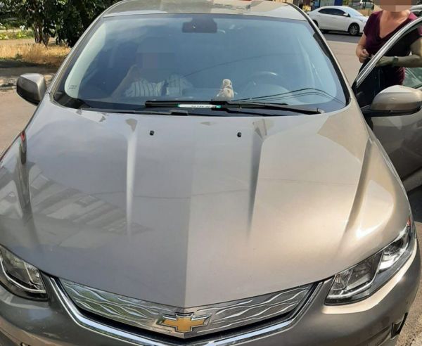 Утром в Николаеве остановили водителя с содержанием алкоголя в крови в 9 раз превышающим норму