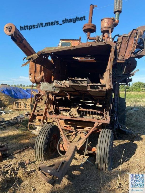 В Николаевской области вторая армия мира атаковала бабушку во время выпаса скота