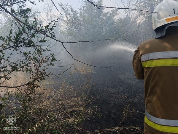 В Николаевской области запретили посещать леса на выходных