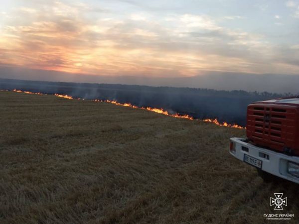 В Николаевской области огонь уничтожил 27 гектаров пшеничного поля