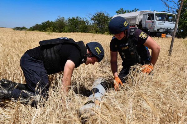 В Николаевской области разминировали 1336 гектаров сельхозугодий