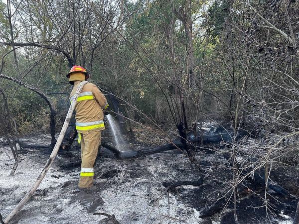 Под Николаевом до ночи тушили большой лесной пожар