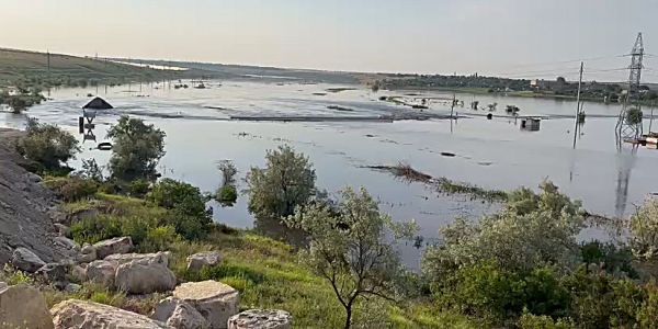 Какую компенсацию получат жители Николаевской области за потерянный урожай