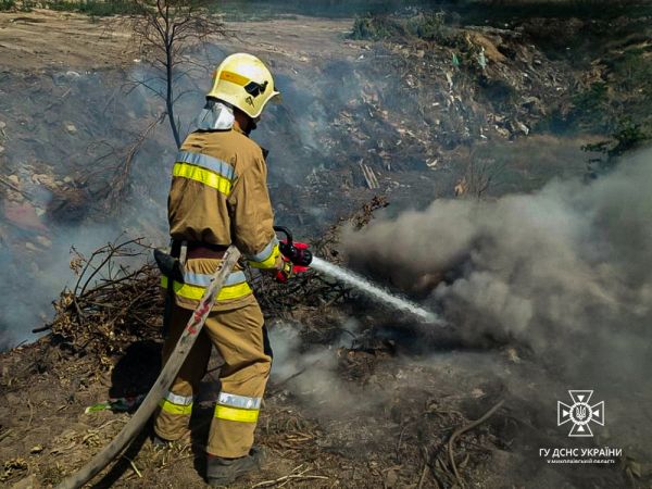 Под Николаевом от пожара спасли дачный поселок