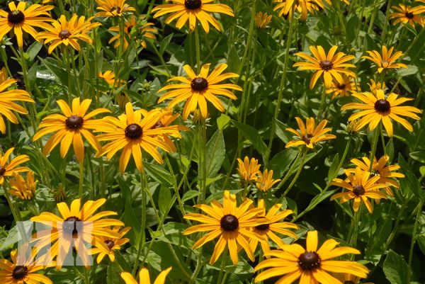 Вчера в Николаеве опять был побит температурный рекорд