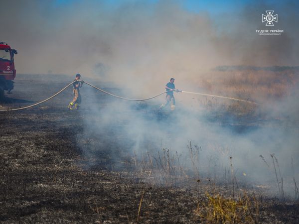 Под Николаевом возле дач горит 6 га сухостоя: под угрозой АЗС и поля с урожаем (фото)
