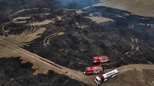 В Николаевской области ожидают 37-градусную жару, вчера выгорело на площади 20 гектаров