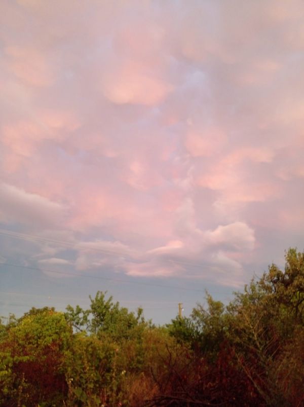 Восемь рекордов николаевского лета-2023