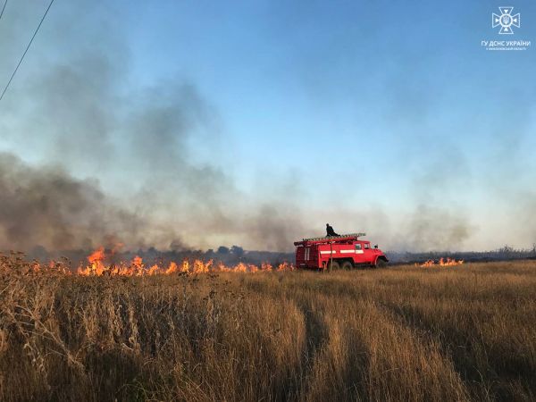 Пожар на поле за селом Явкино, в котором выгорело 2,3 га, начался из-за поджога
