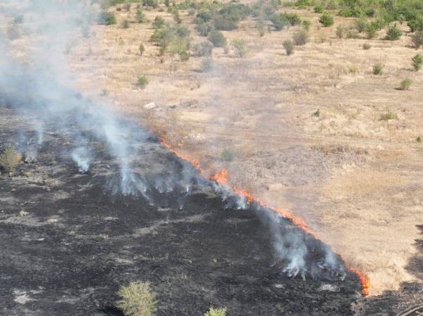 Под Николаевом масштабный пожар сухостоя: уже выгорело 7 га