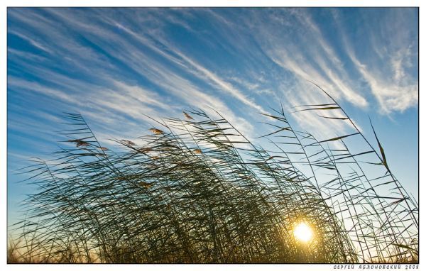 В Николаеве из-за ветра объявлено штормовое предупреждение