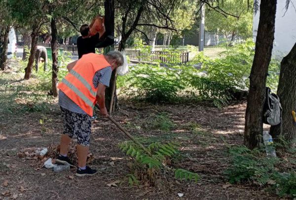 В конце лета за Николаевским междугородным автовокзалом выкосили траву...