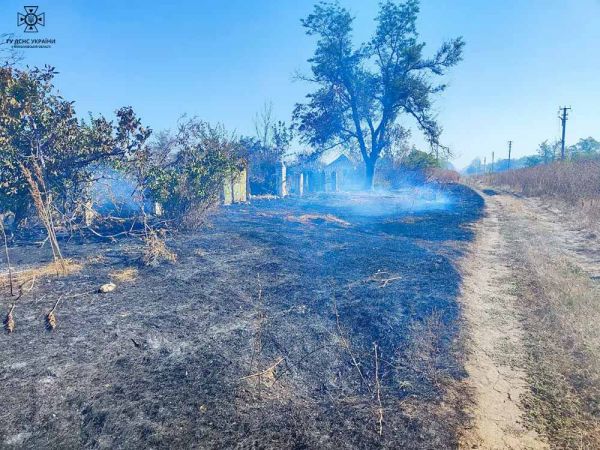 Под Николаевом горит сухая трава: ветер гонит пламя на Лупарево и на дачный поселок