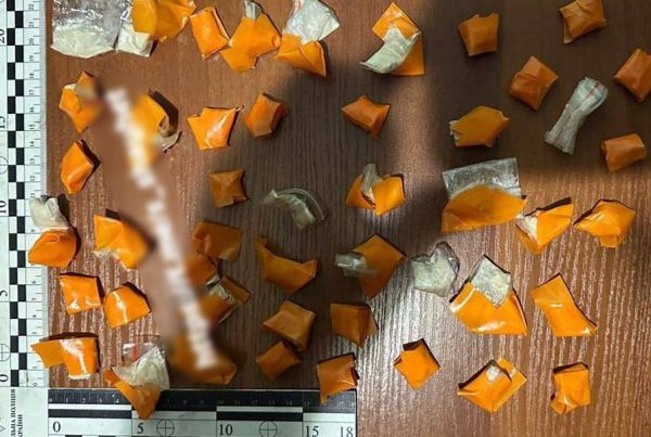 В Николаеве задержали наркодилера с 5 кг гашиша и 170 закладками