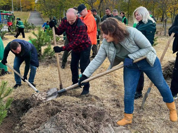 В Николаеве в Парке Победы высадили сто саженцев сосны крымской
