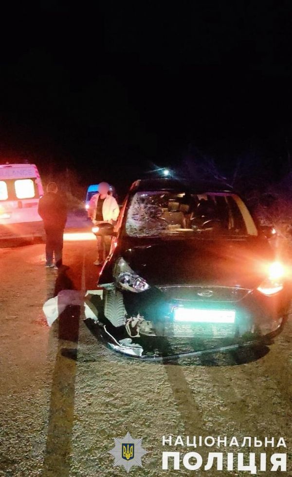 В Николаевской области погиб пешеход