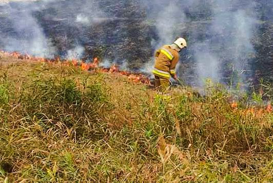 В Николаевской области за сутки произошло 13 пожаров