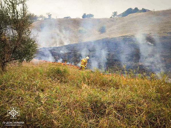 В Николаевской области снова зафиксирован поджог