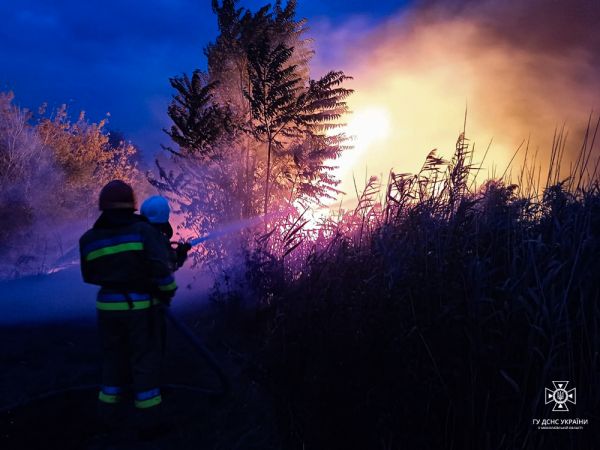 Огонь прошел "Еланецкую степь", Рыбаковку, Коблево