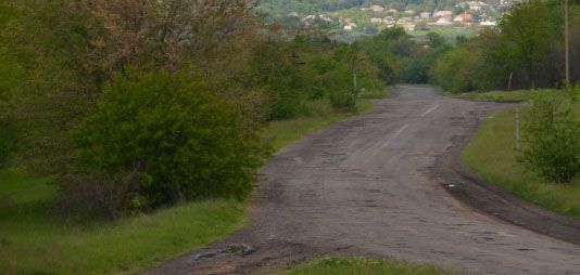 В Николаевской области хотели присвоить 67 гектаров леса стоимостью 1 миллиард гривен!