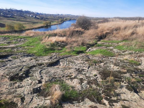 На Николаевщине обнаружен уникальный петроглиф "Софиевские Змеи" эпохи энеолита (фото)